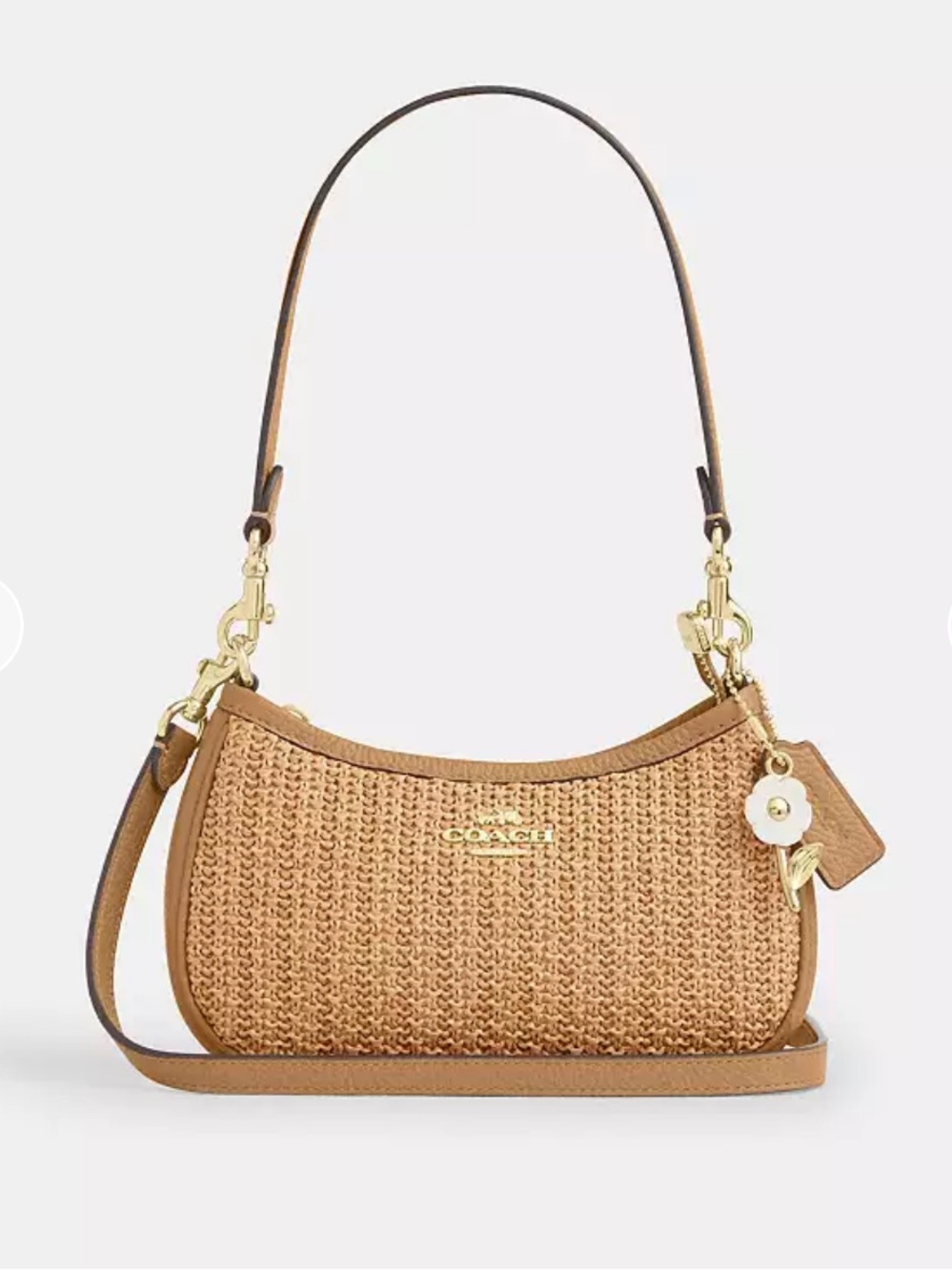Coach Teri Mini Crossbody Bag